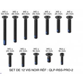 SET DE 12 VIS NOIR RÉF : QLP-RSS-PRO-2