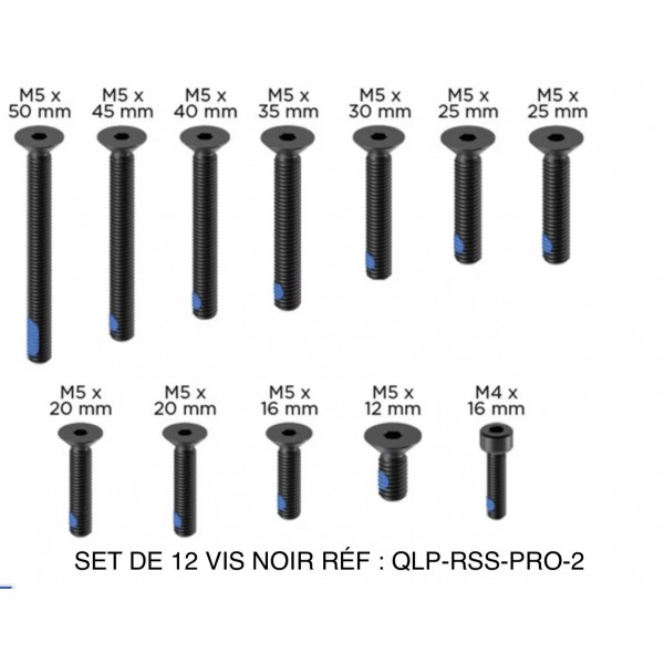 SET DE 12 VIS NOIR RÉF : QLP-RSS-PRO-2