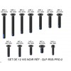 SET DE 12 VIS NOIR RÉF : QLP-RSS-PRO-2