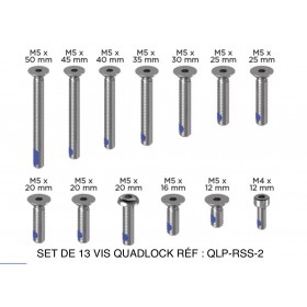 SET DE 12 VIS QUADLOCK RÉF : QLP-RSS-2