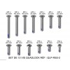 SET DE 12 VIS QUADLOCK RÉF : QLP-RSS-2